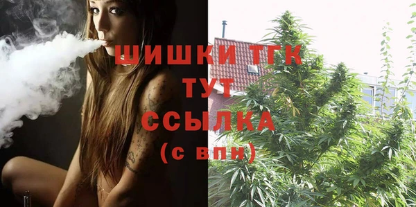 сатива Армянск