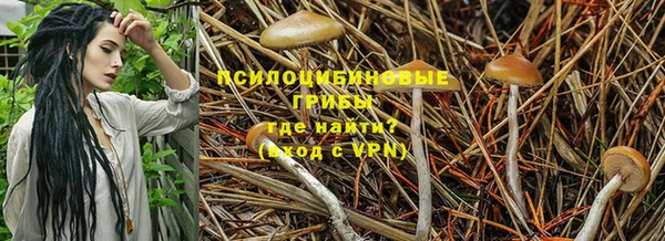 марки lsd Аркадак